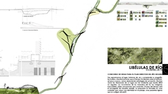 LIBÉLULAS DE RÍO
