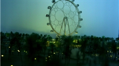 Mirador del Palmeral