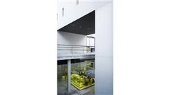 Taller de Arquitectura ECISA - UA