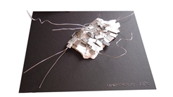 Concurso Aniversario Petrus