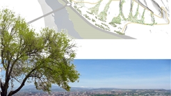 PLAN PARA LA RECUPERACIÓN DEL MONTE CANTABRIA, LOGROÑO