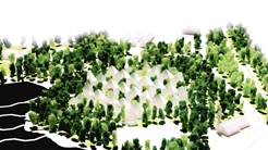 En un claro de bosque. Lerum. Europan 10