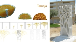 Taronja