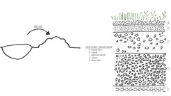 Soil Cutaway Garden