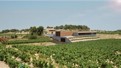BODEGAS ALTAVINS -TERRA ALTA-
