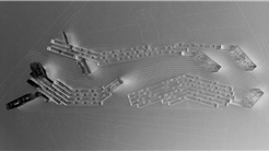 LANDSTRIP. EUROPAN 9 ZAGREB. 1st prize