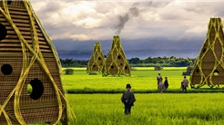 Harvest home
