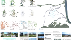 Tejiendo viento y agua - Bases paisajísticas para un ecobarrio