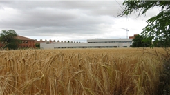 Colegio Infantil y Primaria en Torrijos, Toledo