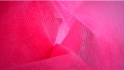 Mr Pink