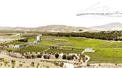 LA ENERGÍA DEL PAISAJE. Un Viñedo