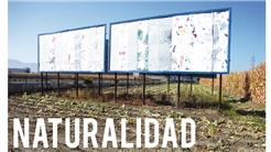 Naturalidad