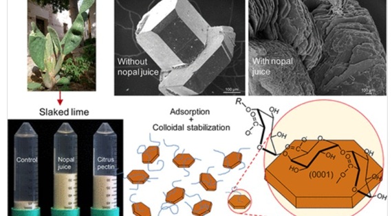 Crystallization and Colloidal Stabilization of Ca(OH)2 in the Presence of Nopal Juice (Opuntia ficus indica)...