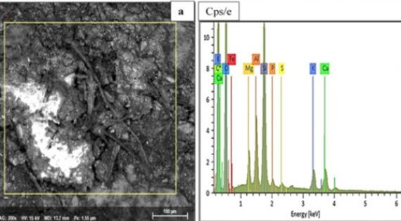 Improvement of water resistance and thermal comfort of earth renders by cow dung: an ancestral practice of Burkina Faso
